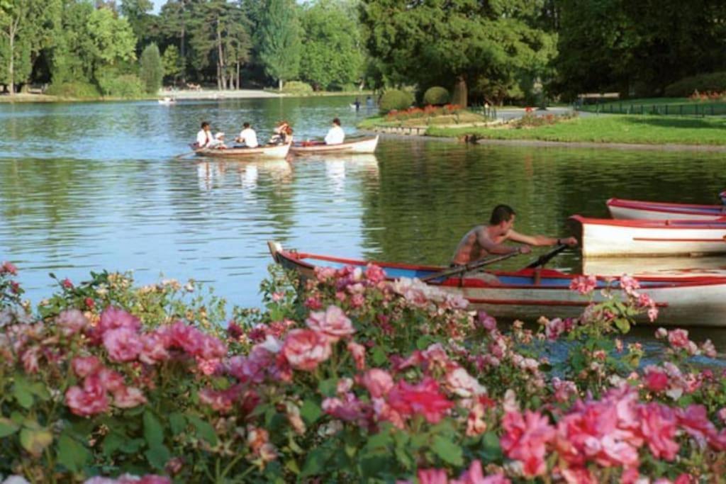 Lovely Apartment Betwen Paris And Eurodisney Nogent-sur-Seine Esterno foto